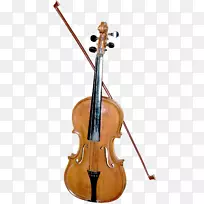 低音小提琴，低音中提琴-美丽的小提琴