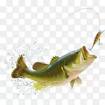 大嘴鲈鱼捕捞插图-卡通鱼飞溅和喷雾