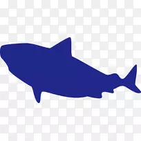 狗鲨嘴夹艺术-白鲸游泳
