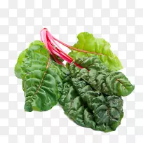 甜菜根蔬菜-甲虫高清图片