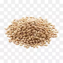 大麦有机食品谷类全麦米-大麦PNG图像