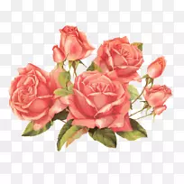 玫瑰花纸粉红夹艺术-创意抽象花朵框架花卉创意，美丽的玫瑰花束