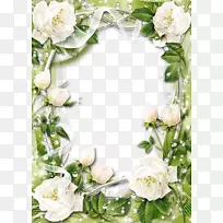 画框玫瑰白色剪贴画-白色玫瑰边框