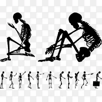 人体骨骼-交流姿态轮廓人体骨骼