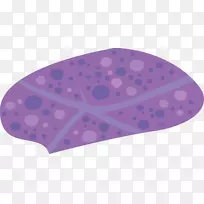 紫海星