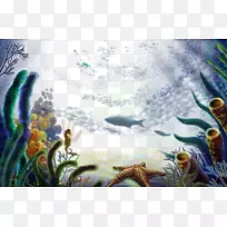 海底区海洋生物海底海星-水下世界