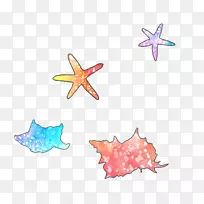 海星鱼夹子艺术-紫海星