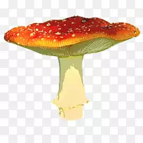 蘑菇剪贴画-马蹄莲PNG透明图像