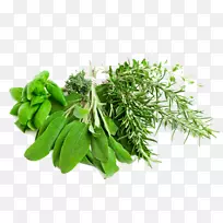 草药剪贴画-草药PNG图片