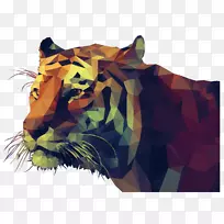 虎低聚类插图-抽象老虎