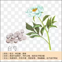 牡丹、白芍、中药、西洋参-三峡分布图