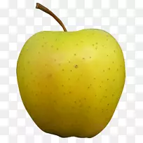 苹果金图标-金苹果