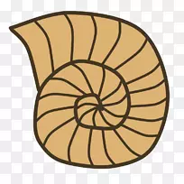贝壳蜗牛腹足类贝壳剪贴画.化石剪贴画