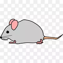米妮老鼠屋老鼠剪贴画老鼠的照片
