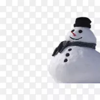 雪人剪贴画-真正的雪人巴布亚新几内亚