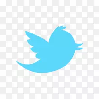 标志广告信息图标-Twitter透明PNG