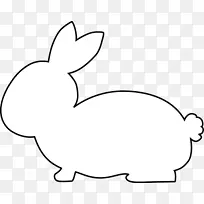 家养兔鸟喙兔侧影