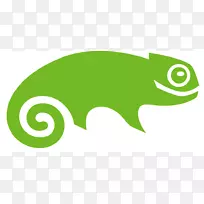 OpenSUSE SUSE Linux发行版SUSE Linux企业-开源标识