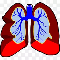 肺呼吸夹艺术.小肺片