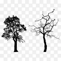 树木剪影剪贴画-免费的树木剪影