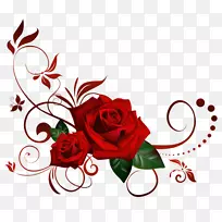花玫瑰夹艺术-哥特式玫瑰花图片