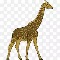 长颈鹿食草动物剪贴画免费长颈鹿图片