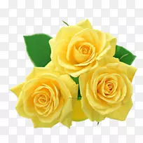 玫瑰黄色剪贴画-黄色花束PNG档案