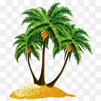 槟榔科椰子树剪贴画-海滩PNG图片