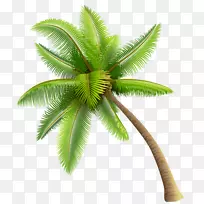 需要一个人(壮举)。托里·拉涅斯(Tory Lanez)Zolo当代R&b-椰子树PNG透明图像