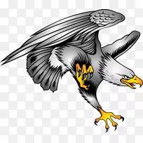 秃鹰标志插图-鹰纹身设计剪贴画PNG