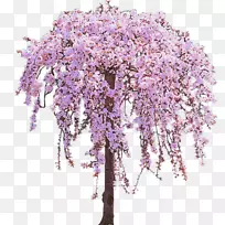 樱桃树插花艺术-樱花插花