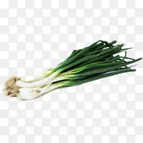 葱环蔬菜-葱PNG图像