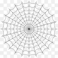 友谊手镯结图案-蜘蛛网PNG图像