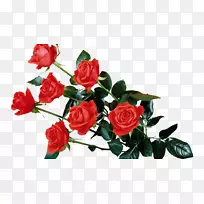 玫瑰花夹艺术-红玫瑰透明PNG