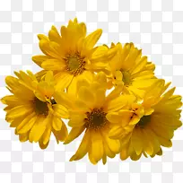 图像文件格式剪贴画-黄色花束png透明图像