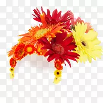 爱美壁纸-非洲菊花发饰