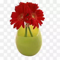 病人闪光疗法pantip.com药物红色非洲菊花