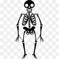 人类骨骼图标-万圣节骨架透明PNG