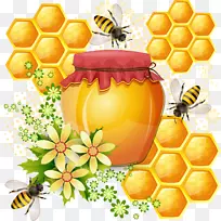 西方蜜蜂蜂巢-蜜蜂和蜂蜜