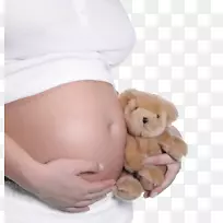 怀孕腹部图片摄影母亲-孕妇，腹部，怀孕，母亲，怀孕母亲