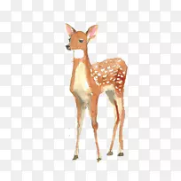 鹿海报水彩画插图-水彩画鹿