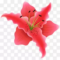 花玫瑰剪贴画-美丽的植物剪贴画