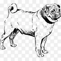 法国斗牛犬狗-黑色小狗悬崖