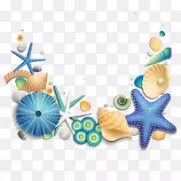 海贝壳下载-蓝色海星及贝壳
