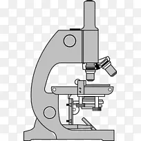 显微剪贴画-显微镜