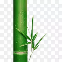 竹绿竹