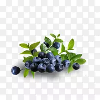 膳食补充剂眼用玉米黄质叶黄素抗氧化剂蓝莓