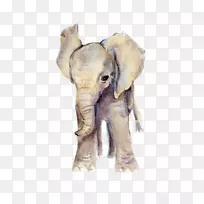 大象水彩画婴儿版画-可爱的大象