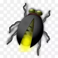 甲虫萤火虫夹艺术.黑色萤火虫