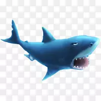 饥饿的鲨鱼进化饥饿的鲨鱼世界大白鲨巨鲨